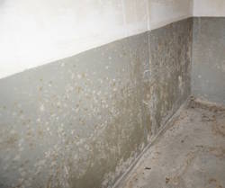 Geruchsquelle Getrocknetes Heizöl im Keller